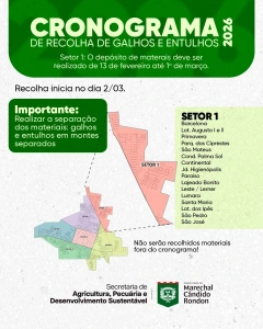 Depósito de galhos e entulhos no setor 1 deve ser feito até domingo