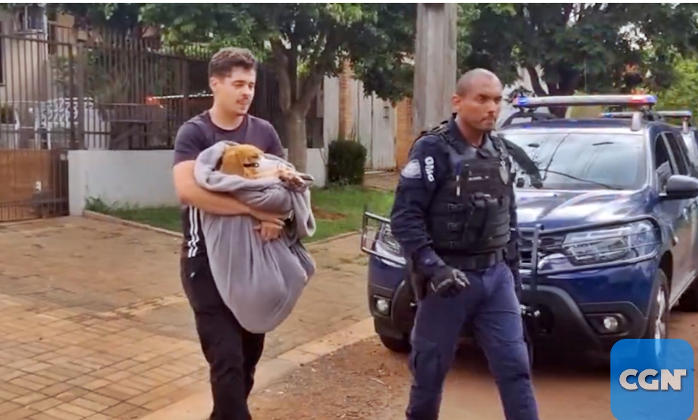 Denúncia de estupro contra cachorro mobiliza Guarda Municipal em Cascavel