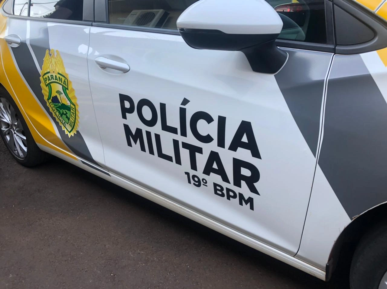 Gato é atingido por chumbinho e caso é investigado em Santa Helena