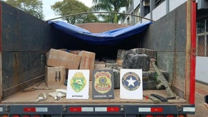 PF, BPFron e RFB apreendem cerca de duas toneladas de drogas e arma em caminhão