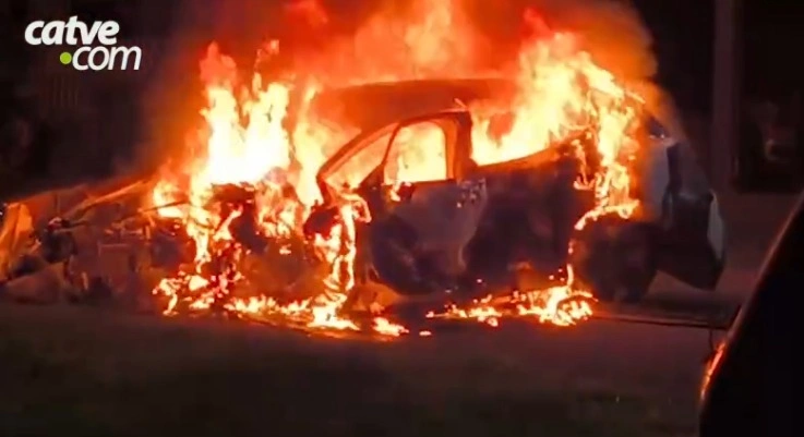 WhatsApp Image 2026-03-20 at 13.30.59.jpeg