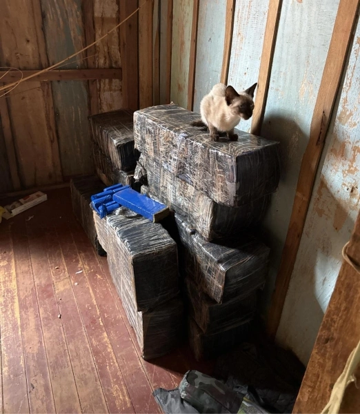 Mais 273 kg de maconha são apreendidos em Mercedes