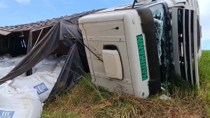 Carreta tomba e espalha fertilizantes às margens da BR 163