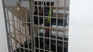 Homem suspeito de tentar abusar de criança é perseguido e agredido em Toledo