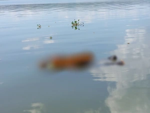 Localizado corpo de policial vítima de acidente com barco no Rio Paraná