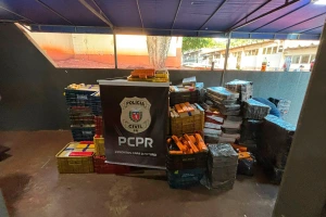 Maior apreensão do ano: PCPR encontra 4,1 toneladas de maconha em Foz do Iguaçu