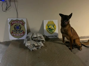 Polícia Federal e BPFRON localizam droga escondida em painel de carro em Guaíra