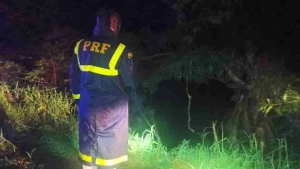 Caminhão cai em represa na BR-116 e deixa criança morta e pai desaparecido no Paraná