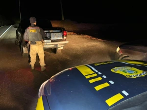 PRF apreende quase uma tonelada de maconha em caminhonete furtada em Icaraíma (PR)