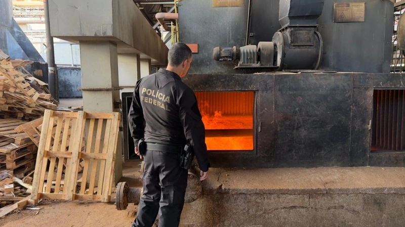 Federal de Guaíra destrói cerca de 10 toneladas de drogas