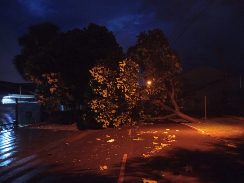 Tempestade em Guaíra: Madrugada registra granizo e quase 100 mm de chuva