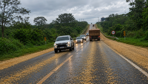 Carreta derrama carga de soja na BR-163 entre Mercedes e Marechal Rondon