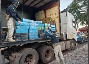 Caminhoneiro é preso em Marechal Rondon com quase duas toneladas de maconha