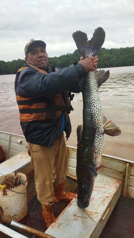Pescador fisga pintado de 1,5 metro no Lago de Itaipu em Mercedes