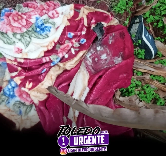 Feto é encontrado em estado de decomposição próximo a milharal em Toledo