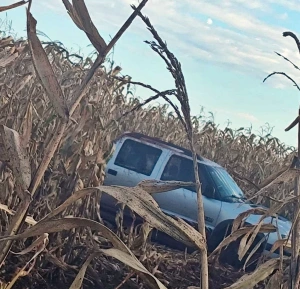 Veículo sai da pista e vai parar em lavoura de milho entre Nova Santa Rosa e Novo Sarandi