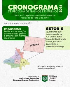 Depósito de galhos e entulhos no setor 6 deve ser feito de 1º a 5 de julho