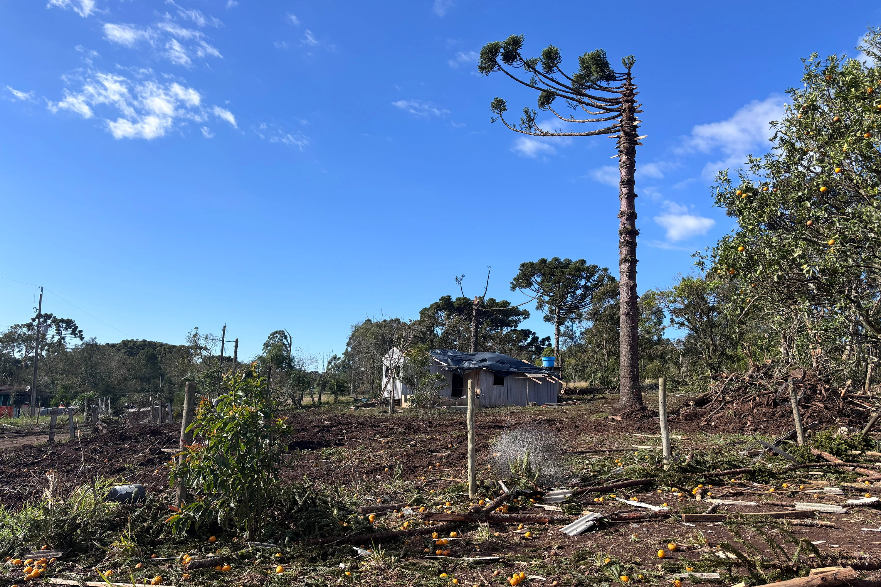 Simepar confirma tornado da categoria F2 em Reserva-PR; ventos chegaram a 200 km/h