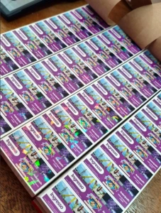 Iniciada a venda antecipada de ingressos para o parque de diversões da Expo Rondon 2026