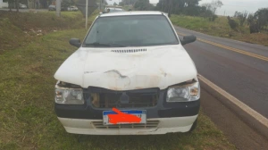 Carro atropela cavalo solto na PR-364, em Terra Roxa