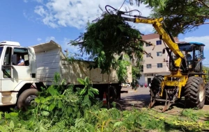 Moradores da sede do distrito de Margarida podem depositar galhos e entulhos até domingo