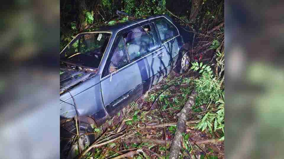 Monza sai da pista e bate contra árvores na PR-364 entre Palotina e Terra Roxa