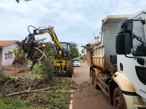 Moradores da sede do distrito de São Roque podem depositar galhos e entulhos até domingo