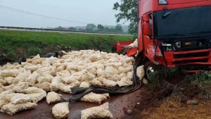 Motorista de HB20 morre em batida com caminhão na BR-369 em Cascavel
