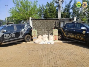 Agrotóxicos e cigarros estrangeiros são encontrados em trilhas na área rural de Guaíra