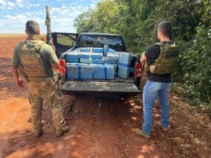 Mais de 600 kg de maconha são encontrados em área de mata em Guaíra