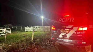 Operação mira grupo suspeito de furtar mais de 2 mil cabeças de gado no Paraná