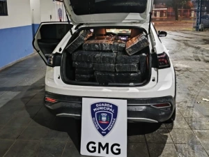 Carro carregado com quase 400 kg de drogas bate em poste durante fuga em Guaíra