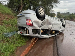 Árvore cai sobre a PR-589 e provoca acidente com dois veículos entre Nova Santa Rosa e Novo Sarandi