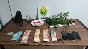 Casal é preso por tráfico de drogas em Toledo