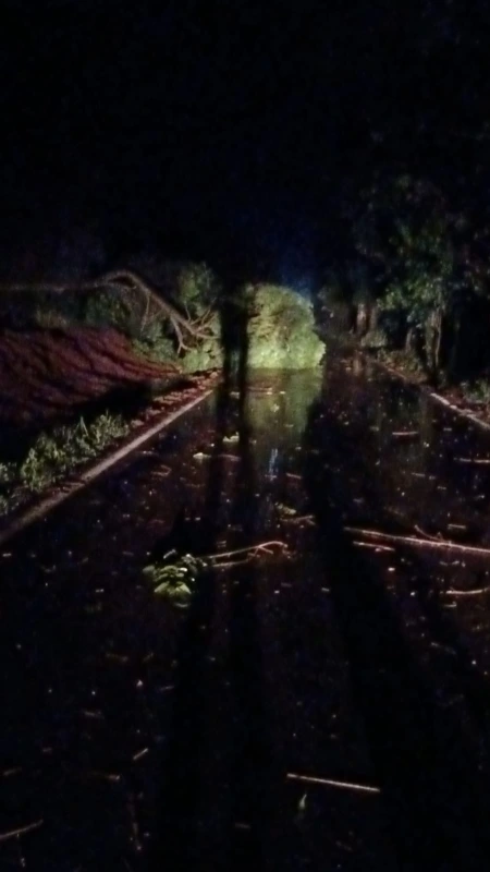 Temporal provoca estragos no distrito de São Roque interior rondonense 