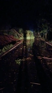 Temporal provoca estragos no distrito de São Roque interior rondonense 