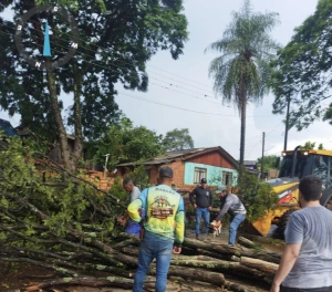 Granizo e ventos fortes provocam destelhamentos em Vera Cruz do Oeste 