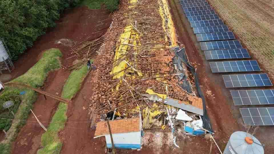 Temporal destrói aviário com 18 mil aves e causa prejuízo de R$ 1,8 milhão