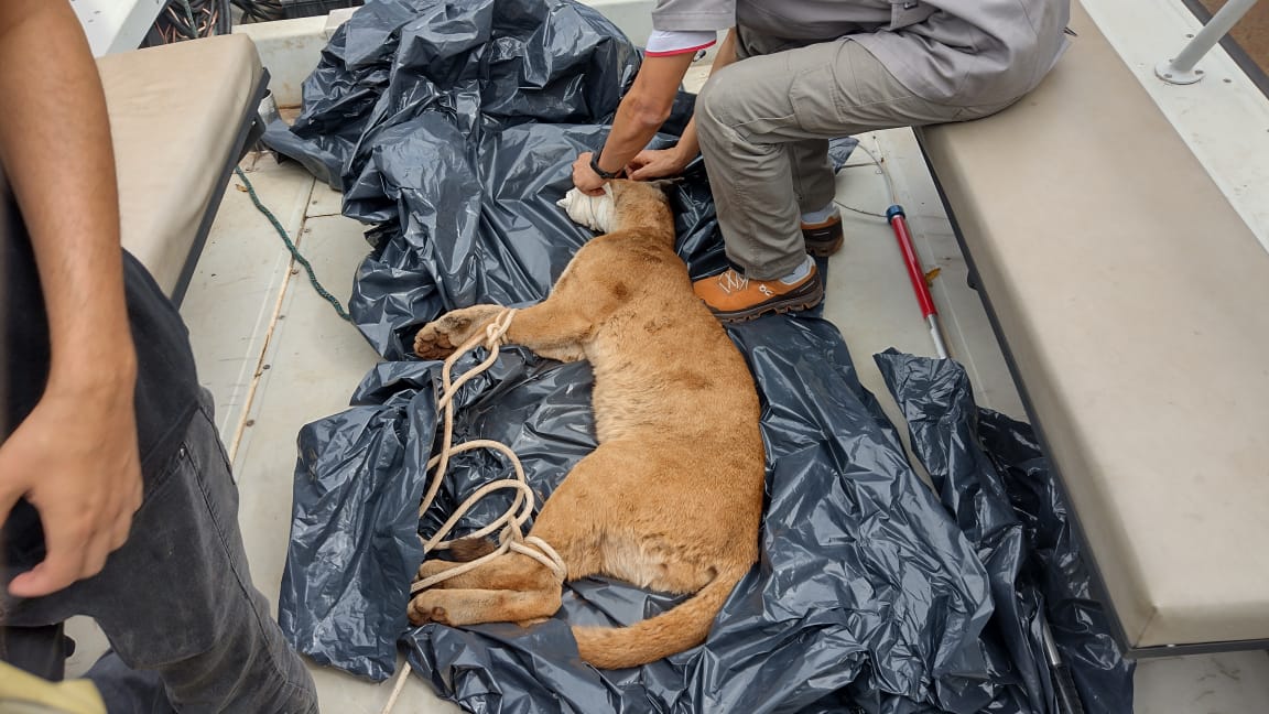 4d3a508b-418f-4405-9f17-a76e78716604