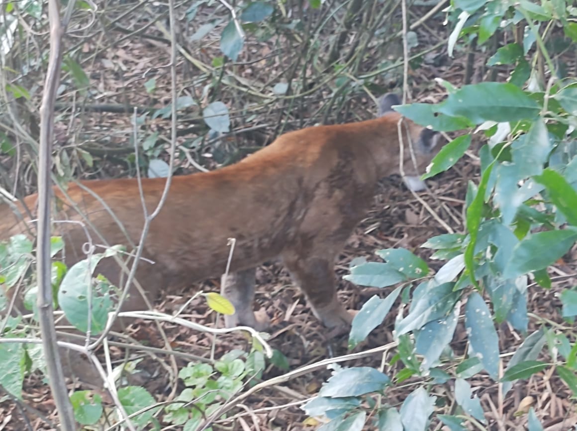 958ca568-4ae7-4d78-a152-27e37954d279