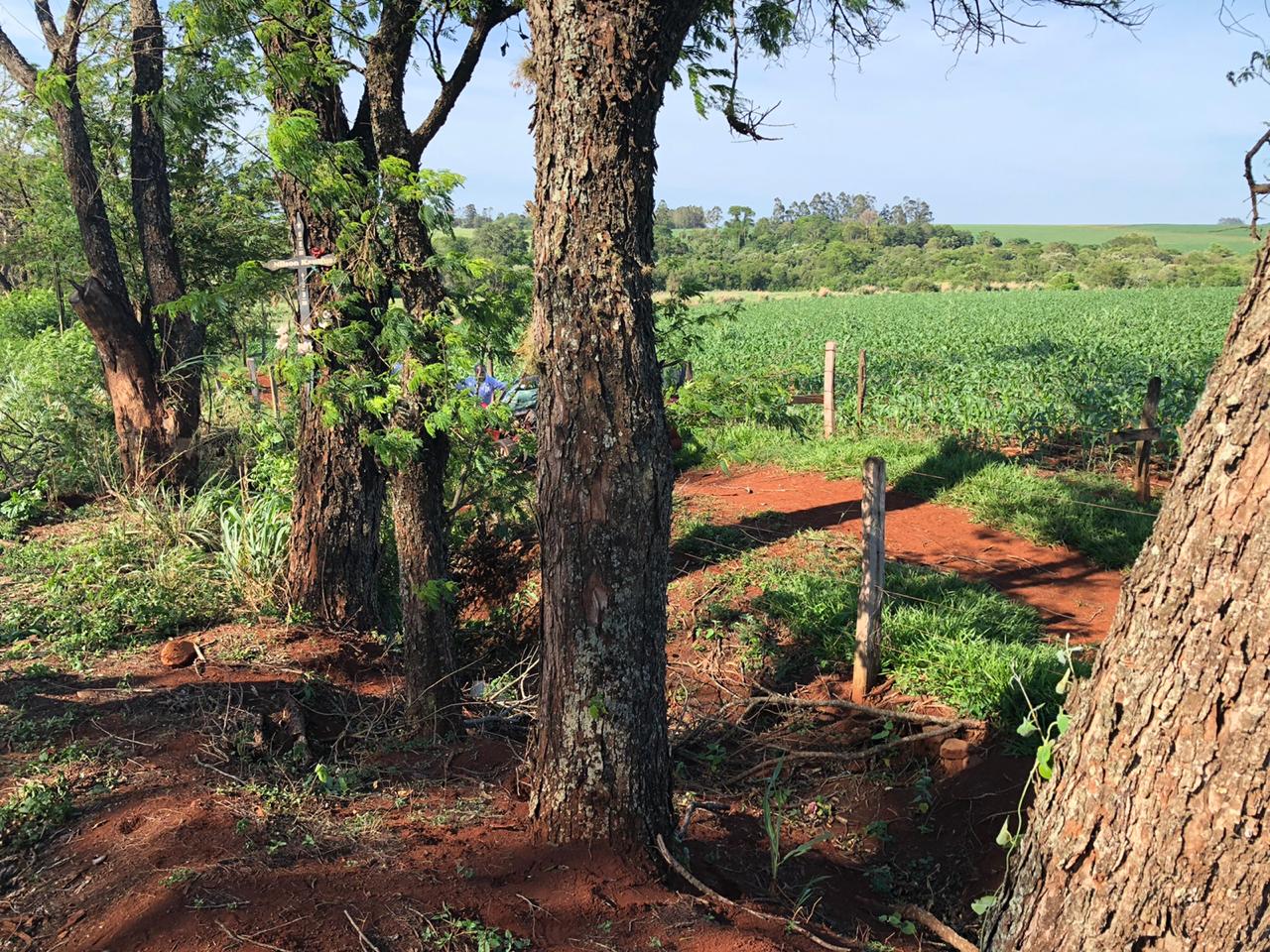 Pediatra rondonense morre em acidente na rodovia Marechal Cândido Rondon a Pato Bragado