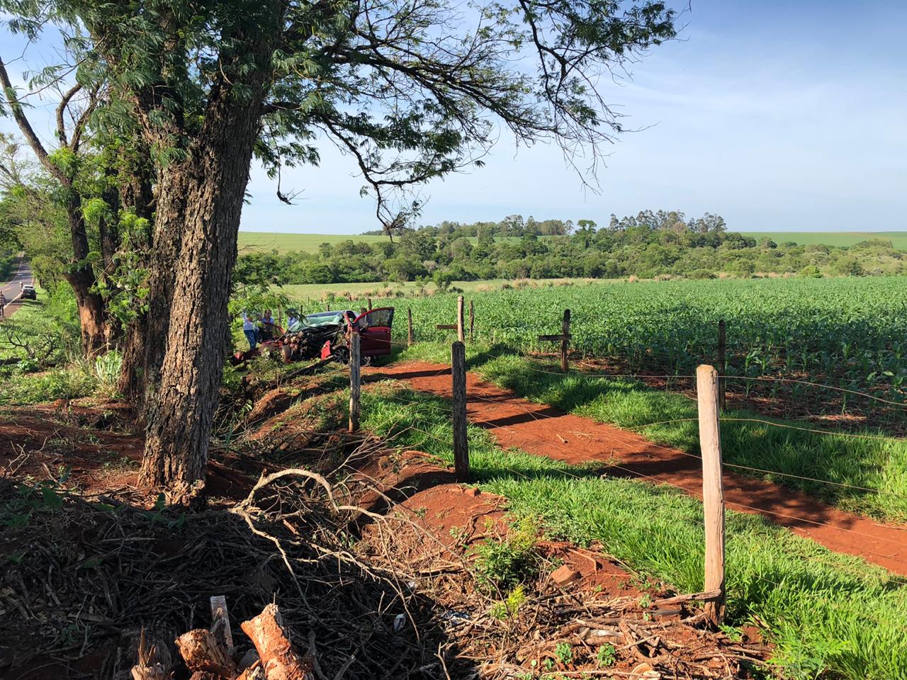 Pediatra rondonense morre em acidente na rodovia Marechal Cândido Rondon a Pato Bragado