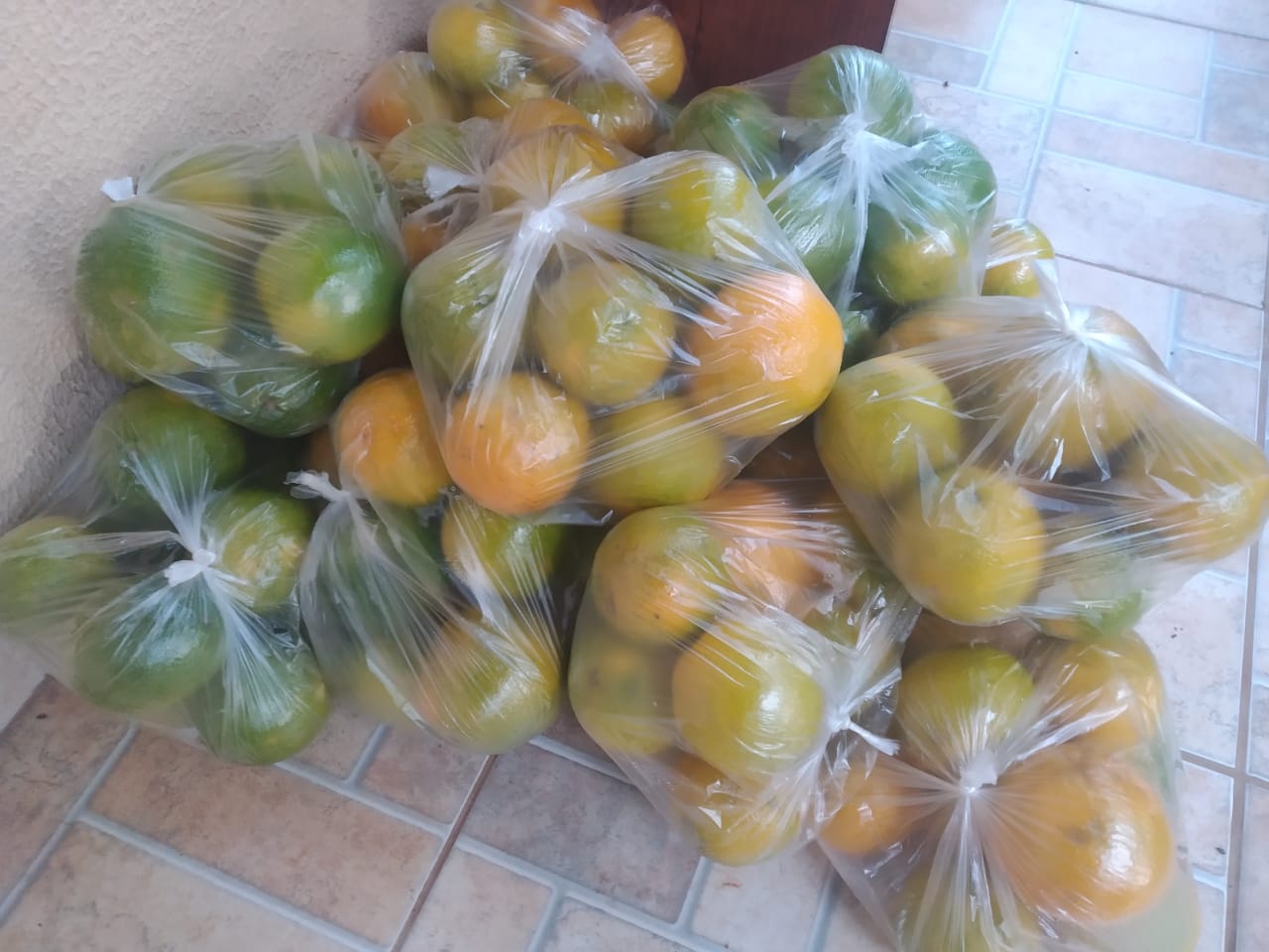 WhatsApp Image 2020-07-28 at 09.30.34 (1)