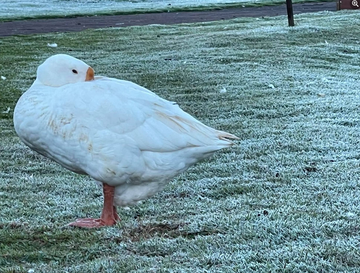 WhatsApp Image 2021-06-29 at 09.49.23