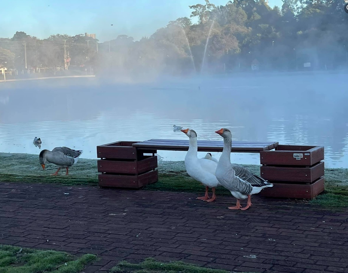 WhatsApp Image 2021-06-29 at 09.49.24 (1)