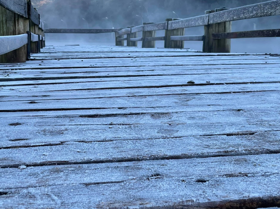 WhatsApp Image 2021-06-29 at 09.49.24