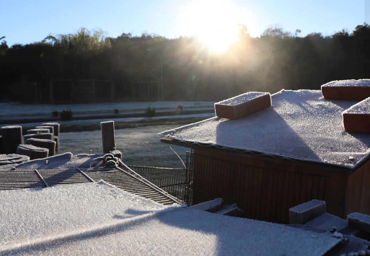 WhatsApp Image 2021-06-29 at 09.49.25