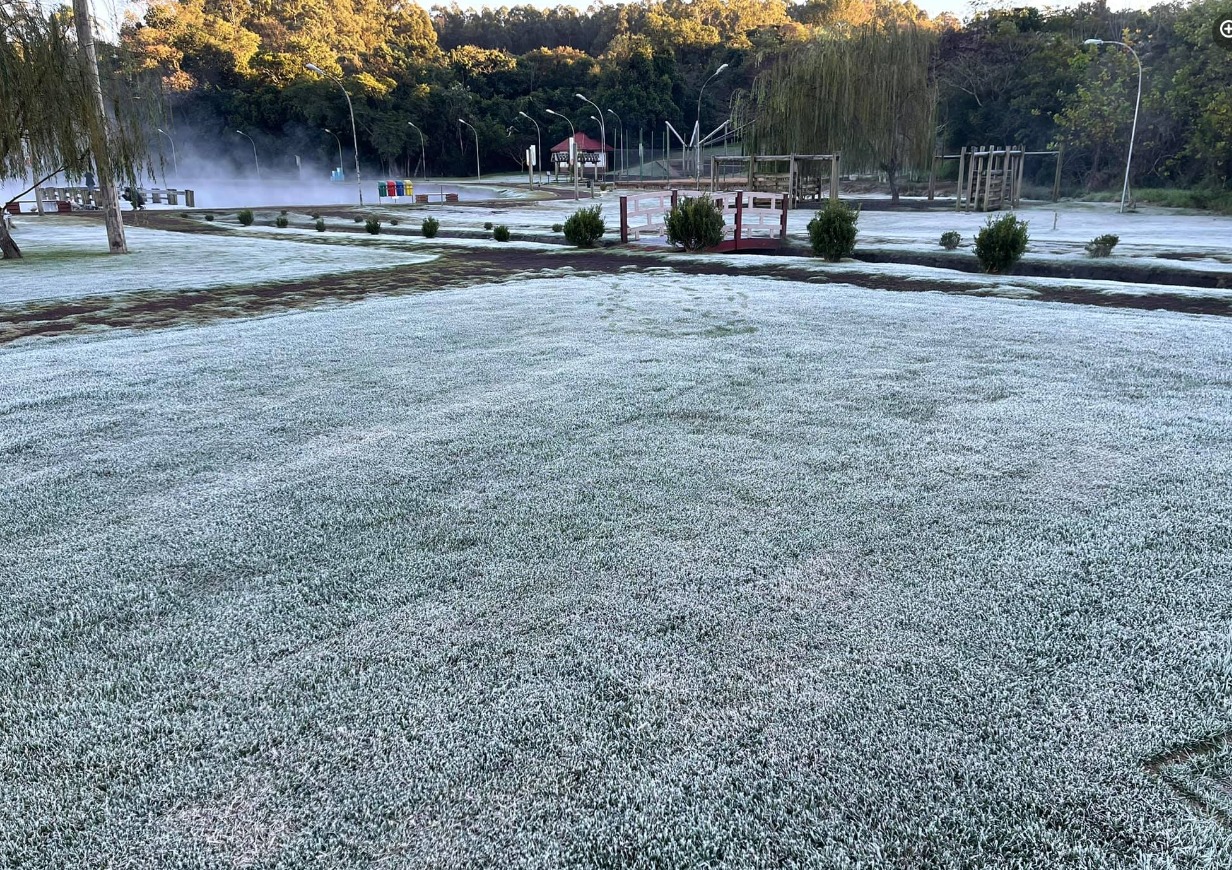 WhatsApp Image 2021-06-29 at 09.49.26