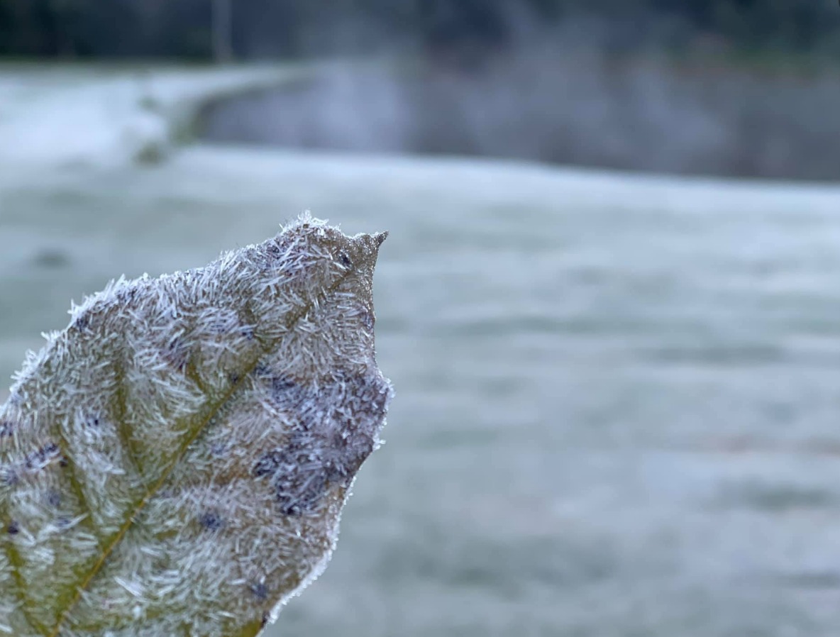 WhatsApp Image 2021-06-29 at 09.49.27 (1)