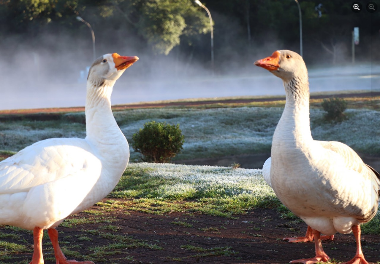 WhatsApp Image 2021-06-29 at 09.49.29